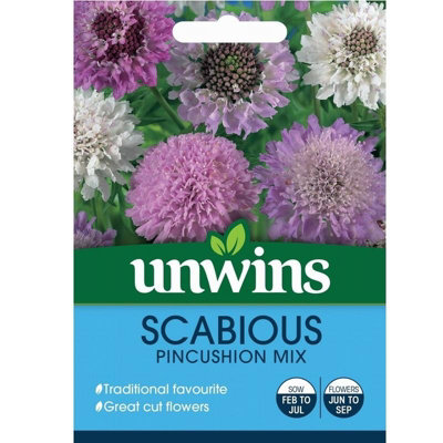 B&Q -  Flower SeedsScabious Pincushion Mix