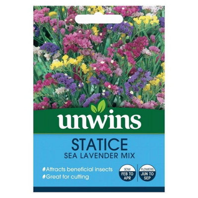 Unwins Flower SeedsStatice Sea Lavender Mix from B&Q