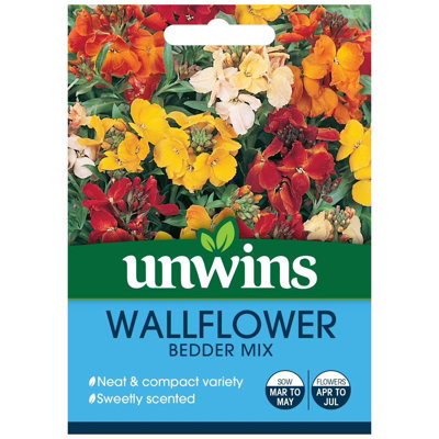 B&Q -  Flower SeedsWallflower Bedder Mix