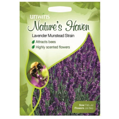 Unwins Flower SeedsNh Lavender Munstead Strain from B&Q