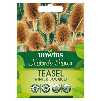 Unwins Nh Teasel Winter Bouquet Easy To Grow Seeds from B&Q