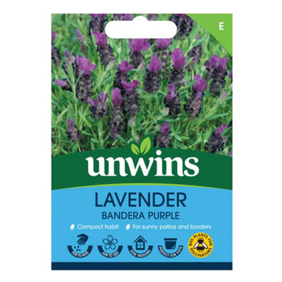Unwins Lavender Bandera Deep Purple Easy To Grow Seeds from B&Q