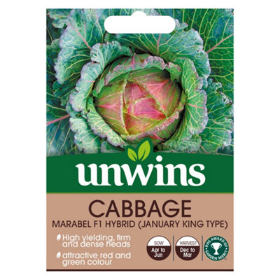 Unwins Cabbage Round Marabel F Easy To Grow Seeds from B&Q