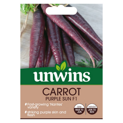 Unwins Carrot Purple Sun Easy To Grow Seeds from B&Q