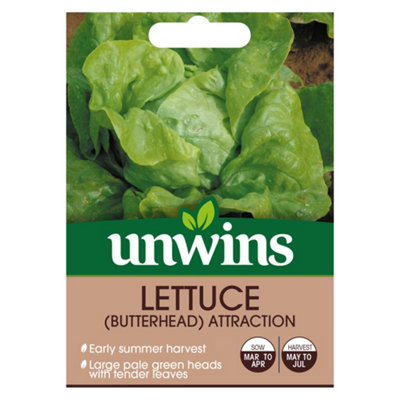 Unwins Lettuce (Butterhead) Attraction from B&Q