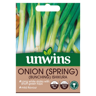Unwins Onion (Spring) Bunching Ishikura from B&Q