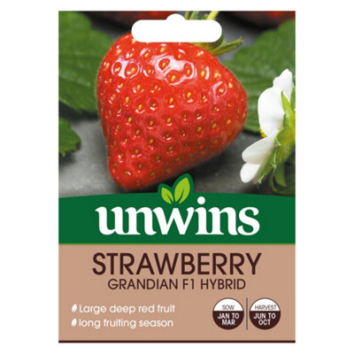 Unwins Strawberry Grandian F Easy To Grow Seeds from B&Q