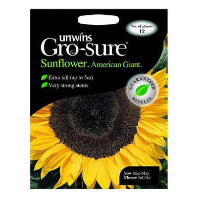 Unwins Flower SeedsSunflower American Giant F from B&Q
