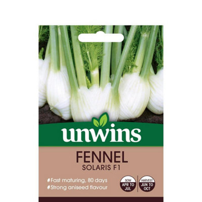 Mr Fothergills Unwins Vegetable Seeds Fennel Solaris F1 from B&Q