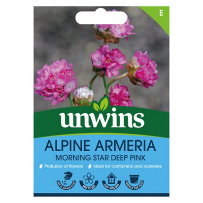 Unwins Alpine Armeria Morning Star Deep Pink from B&Q