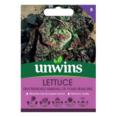 Unwins Lettuce (Butterhead) Marvel Of Four Seasons from B&Q