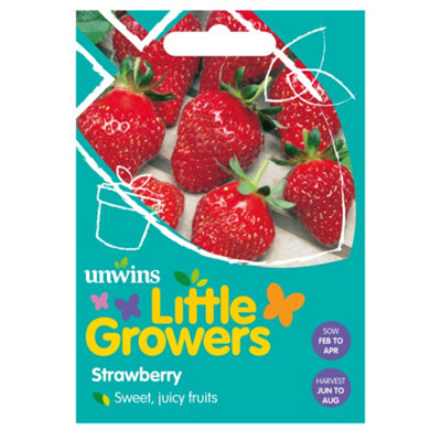 Unwins Little Growers Strawberry Easy To Grow Seeds from B&Q