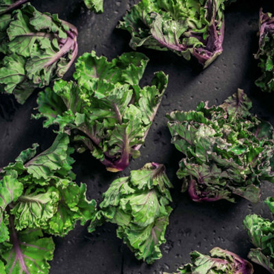 Marshalls Garden Flower Sprout F1 Hybrid Brussels Sprout Seeds30 Seeds from B&Q