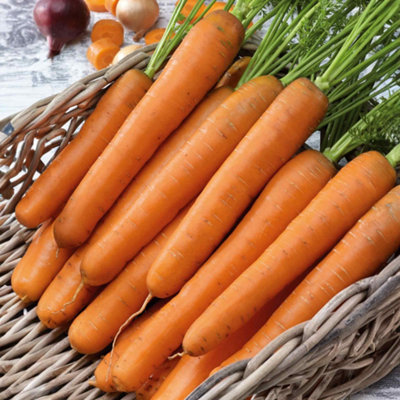 Marshalls Garden Carrot Seeds 'nantes 2'EarlyFast-MaturingSweet Nantes Variety 1 G from B&Q