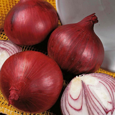 B&Q -  Onion Seeds Red Baron F1 Extra-Large Red Bulbs Approx 350 Seeds