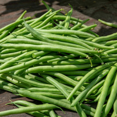 Marshalls Garden Climbing French Bean Seeds 'cobra' (100 Seeds) from B&Q