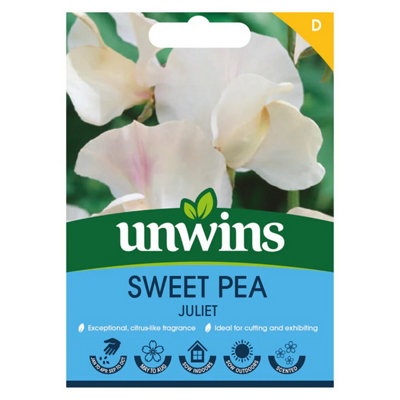 Unwins Unwin Flower Seeds Sweet Pea Juliet from B&Q
