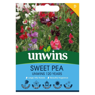 Unwins Unwin Flower Seeds Sweet Pea 120 Years Mix from B&Q