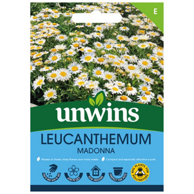 Unwins Leucanthemum Madonna Easy To Grow Seeds from B&Q