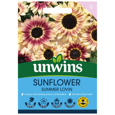 Unwins Sunflower Summer Lovin Easy To Grow Seeds from B&Q