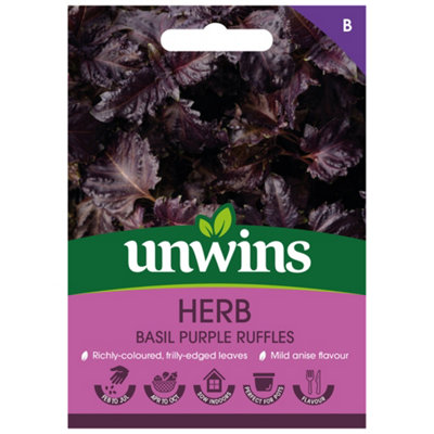 Unwins Herb Basil Purple Ruffles Easy To Grow Seeds from B&Q