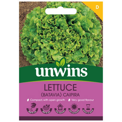 Unwins Lettuce Batavia Caipira Easy To Grow Seeds from B&Q