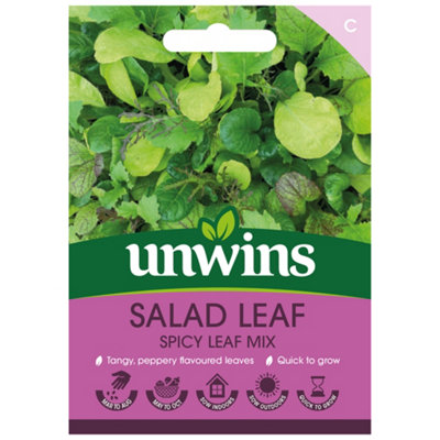 Unwins Salad Leaf Spicy Mix Easy To Grow Seeds from B&Q