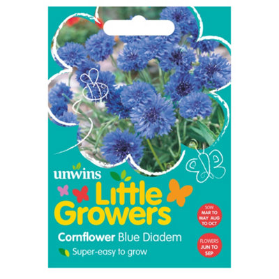 Unwins Little Growers Cornflower Blue Diadem from B&Q