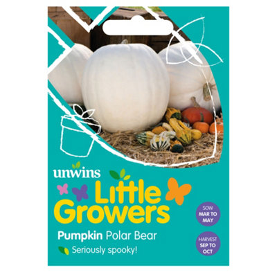 Unwins Little Growers Pumpkin Polar Bear from B&Q