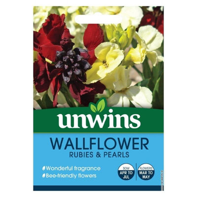 Unwins Flower SeedsWallflower Rubies & Pearls from B&Q