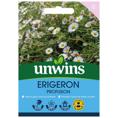 Unwins Erigeron Profusion Easy To Grow Seeds from B&Q