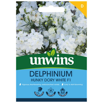Unwins Delphinium Hunky Dory White F1 from B&Q