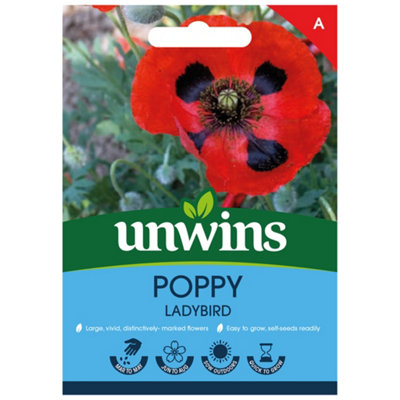 Unwins Poppy Ladybird Easy To Grow Seeds from B&Q