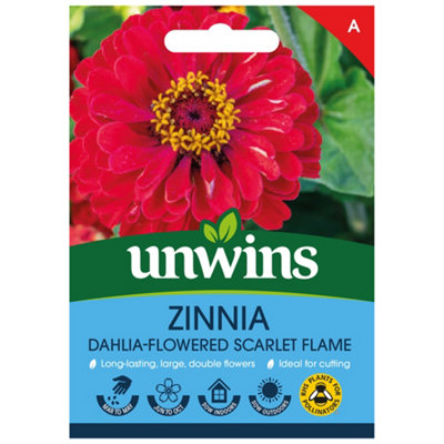 B&Q -  Zinnia Dahlia-Flowered Scarlet Flame