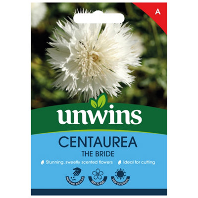 Unwins Centaurea The Bride Easy To Grow Seeds from B&Q