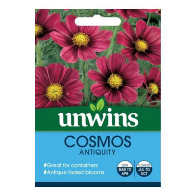 Unwins Flower SeedsCosmos Antiquity from B&Q