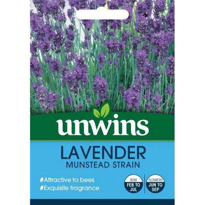 Unwins Flower SeedsLavender Munstead Strain from B&Q
