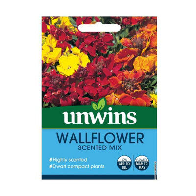 Unwins Flower Seeds - Wallflower Scented Mix