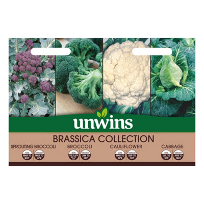 Unwins Brassica Collection Pack Easy To Grow Seeds from B&Q