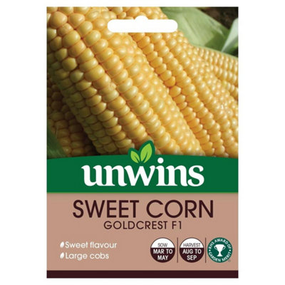 Mr Fothergills Unwins Vegetable Seeds Sweet Corn Goldcrest F1 from B&Q