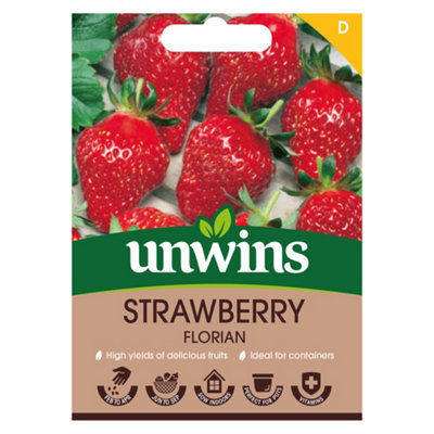 Unwins Strawberry Florian Easy To Grow Seeds from B&Q