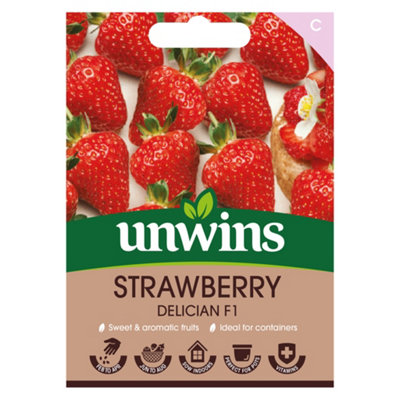 Unwins Strawberry Delician Easy To Grow Seeds from B&Q