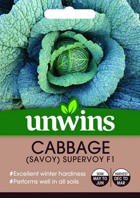 Unwins Vegetable Seeds Cabbage Savoy Supervoy F1 Seeds from B&Q