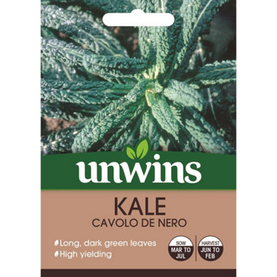 Mr Fothergills Unwins Vegetable Seeds Kale Cavolo De Nero from B&Q