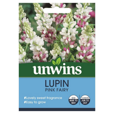 B&Q -  Flower SeedsLupin Pink Fairy