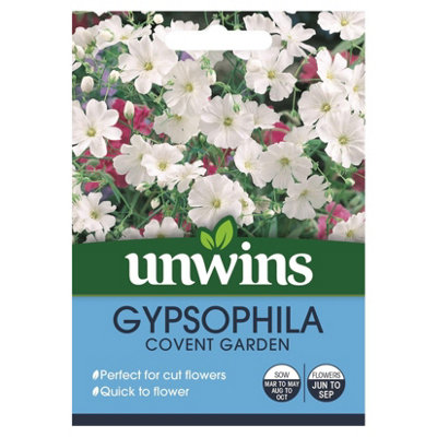 Unwins Flower SeedsGypsophila Covent Garden from B&Q