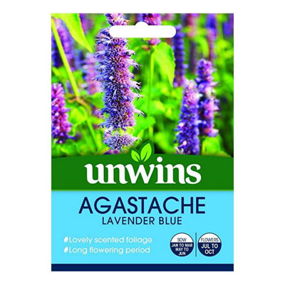Unwins Flower SeedsAgastache Lavender Blue from B&Q