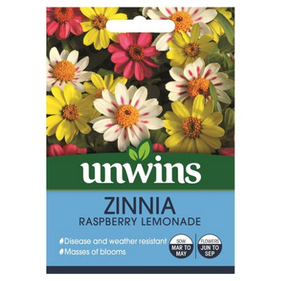 B&Q -  Flower SeedsZinnia Raspberry Lemonade