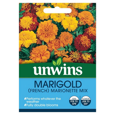 Unwins Flower SeedsMarigold French Marionette from B&Q