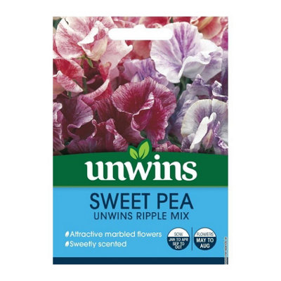 Unwins Flower SeedsSweet Pea Unwins Ripple Mix from B&Q